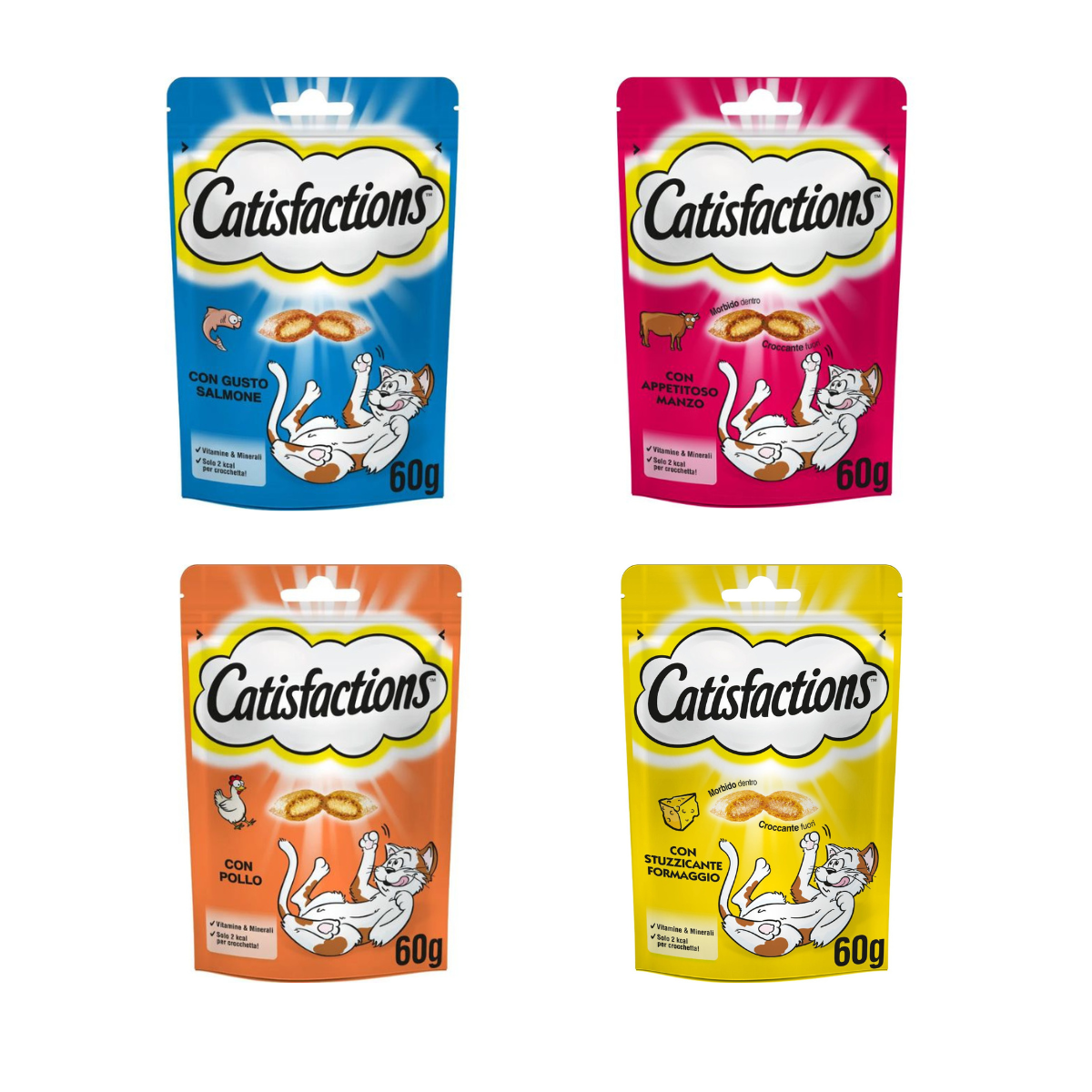 4x Catisfactions con Pollo, Formaggio, Salmone, Manzo 60gr 4x Catisfactions con Pollo, Formaggio, Salmone, Manzo 60gr